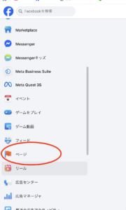 Screenshot of a settings/sidebar menu with app icons and Japanese labels; circled item reads ページ (Pages).